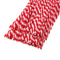 Red with White Christmas Striped Chenille Stem Art Craft Pipe Cleaners